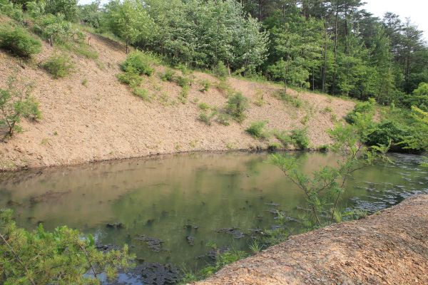 Pond Erosion Repair in Joplin