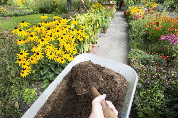 Topsoil Installation in Joplin